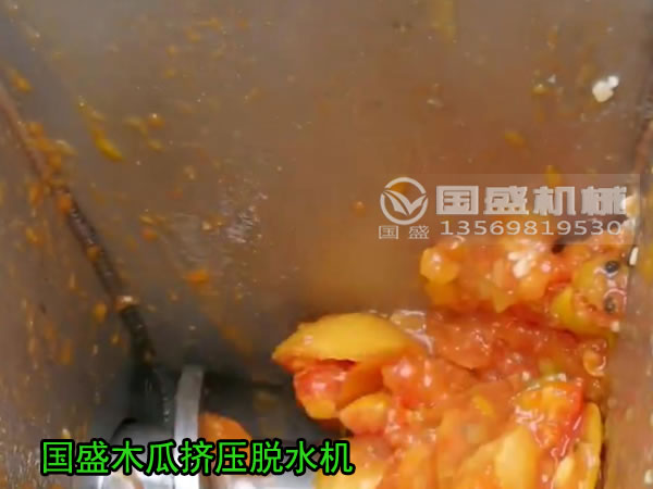 木瓜壓榨機 木瓜壓榨機
