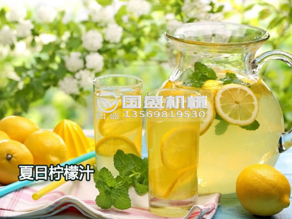 檸檬螺旋榨汁機(jī)型號 檸檬螺旋榨汁機(jī)型號