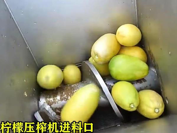 檸檬壓榨機(jī)進(jìn)料口 檸檬壓榨機(jī)進(jìn)料口